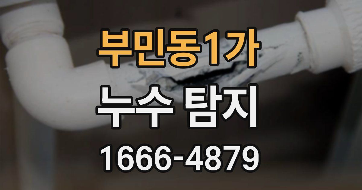 부민동1가 누수 탐지