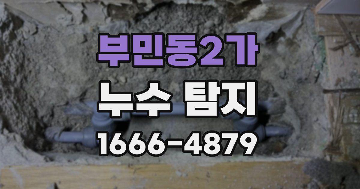 부민동2가 누수 탐지