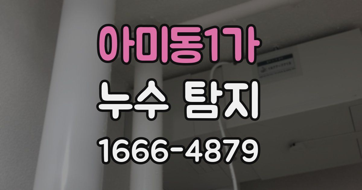아미동1가 누수 탐지