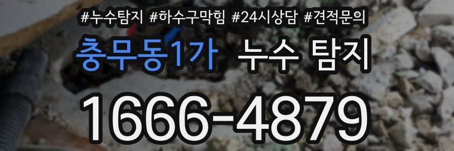 충무동1가 누수 탐지