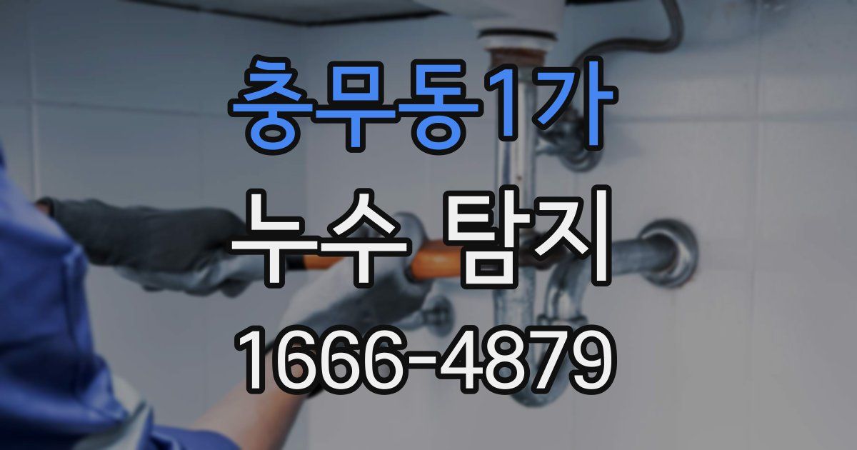 충무동1가 누수 탐지