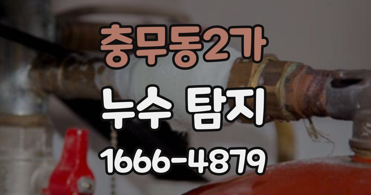충무동2가 누수 탐지