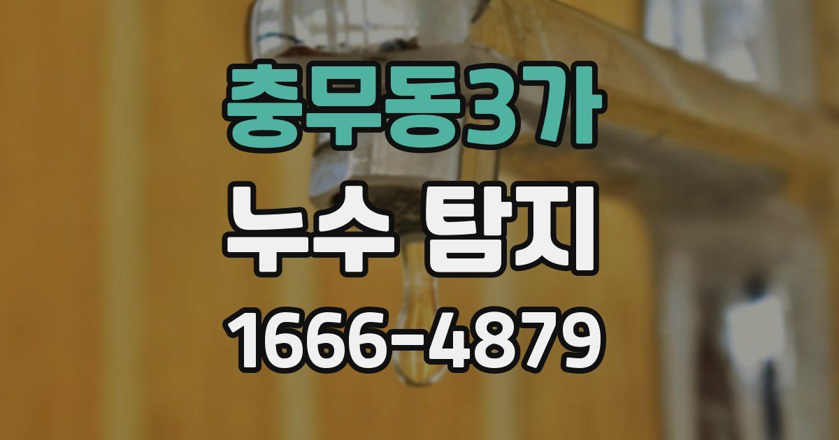 충무동3가 누수 탐지