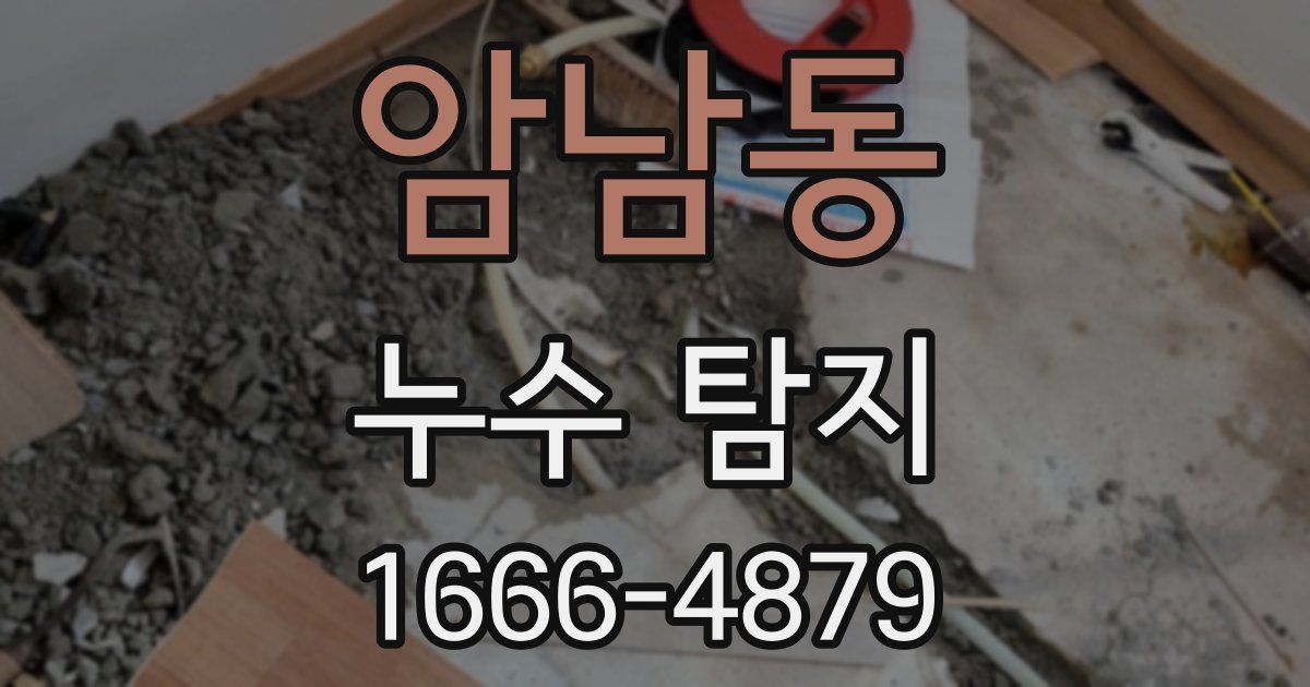 암남동 누수 탐지