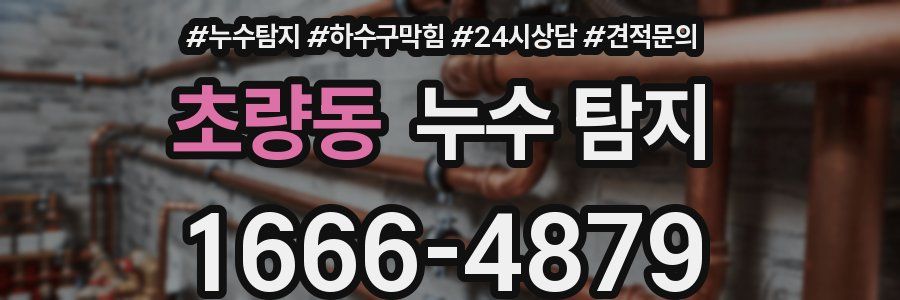 초량동 누수 탐지