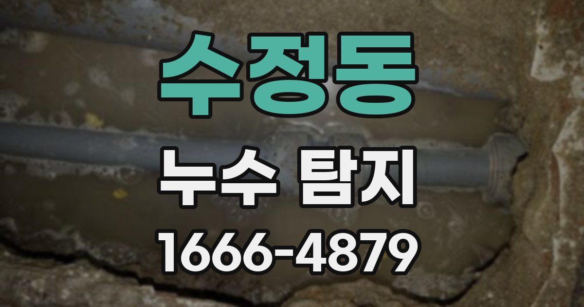 수정동 누수 탐지
