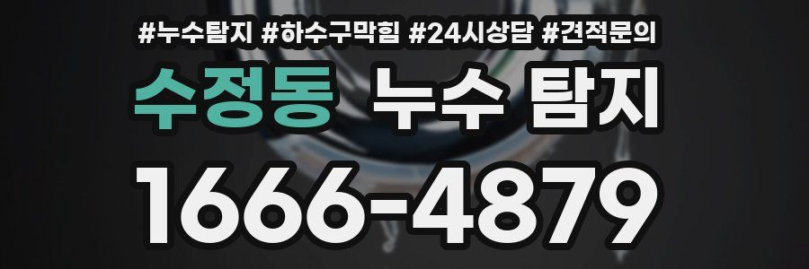 수정동 누수 탐지