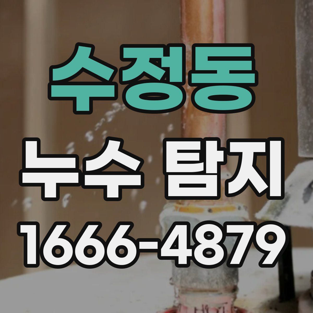 수정동 누수 탐지
