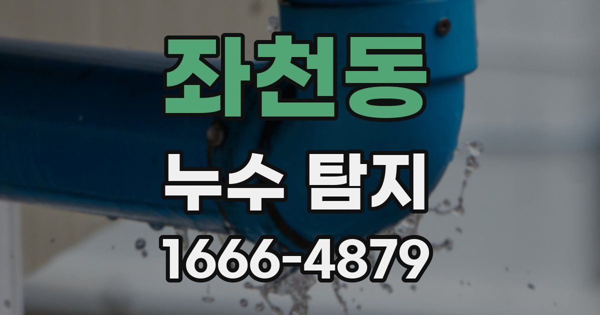 좌천동 누수 탐지