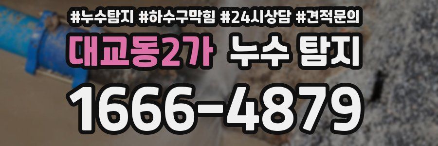 대교동2가 누수 탐지