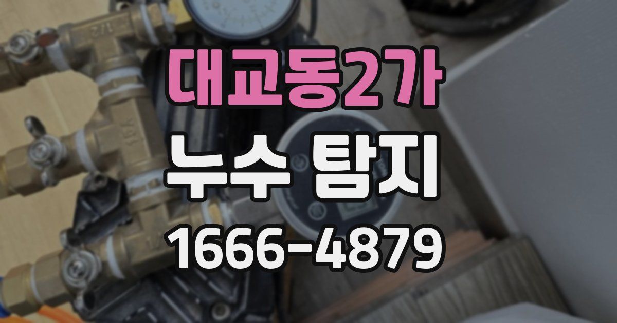 대교동2가 누수 탐지