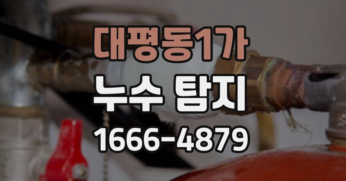 대평동1가 누수 탐지