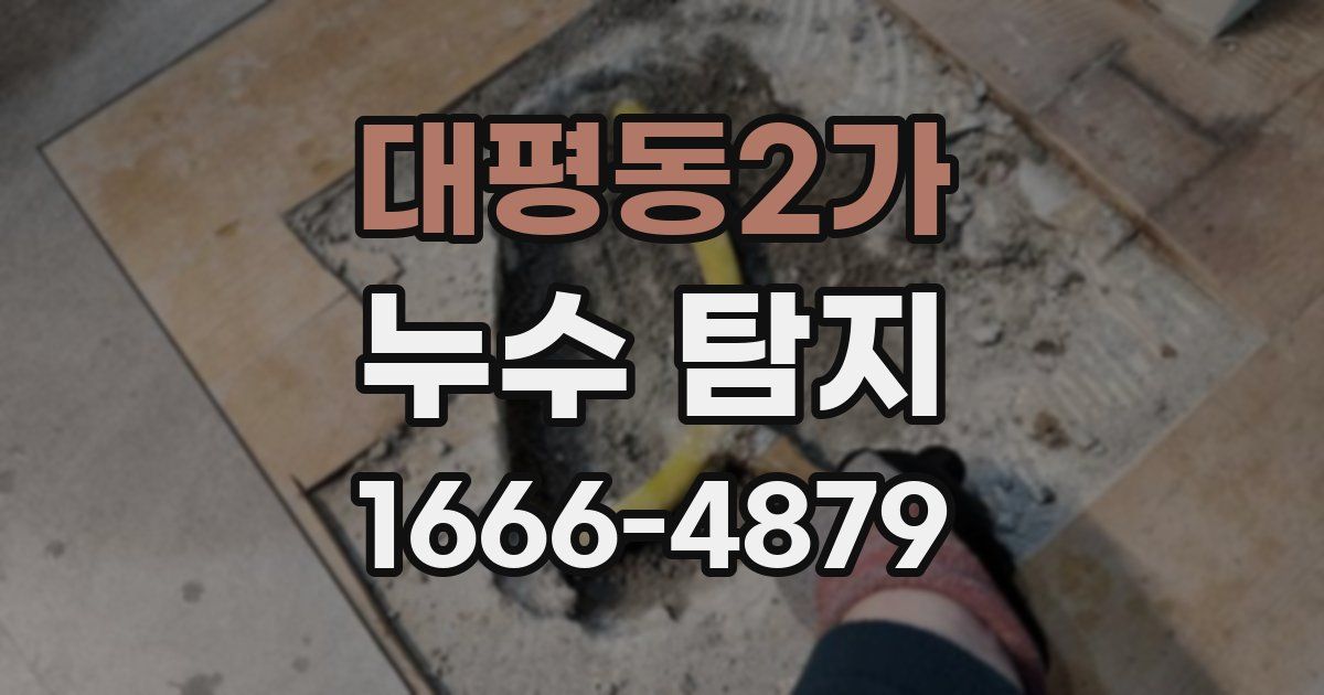 대평동2가 누수 탐지