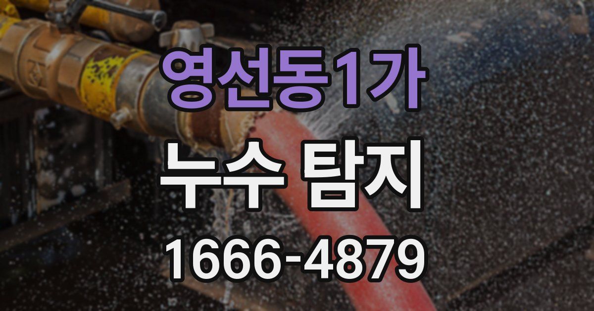 영선동1가 누수 탐지