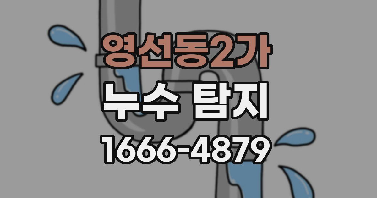 영선동2가 누수 탐지