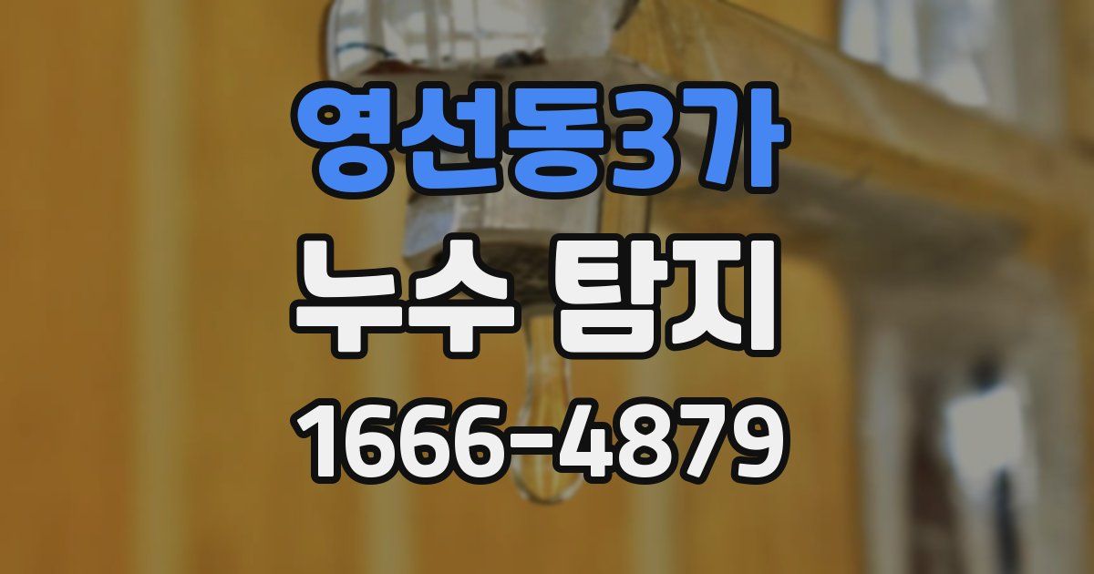 영선동3가 누수 탐지