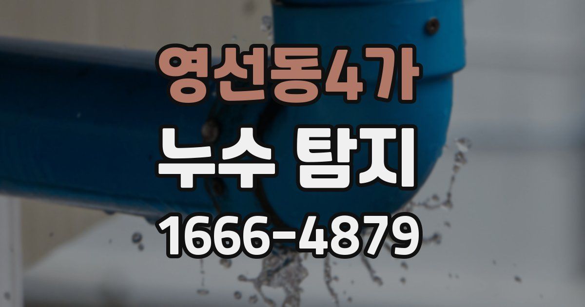 영선동4가 누수 탐지