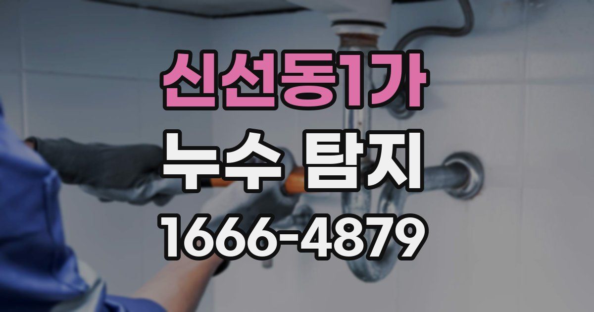 신선동1가 누수 탐지