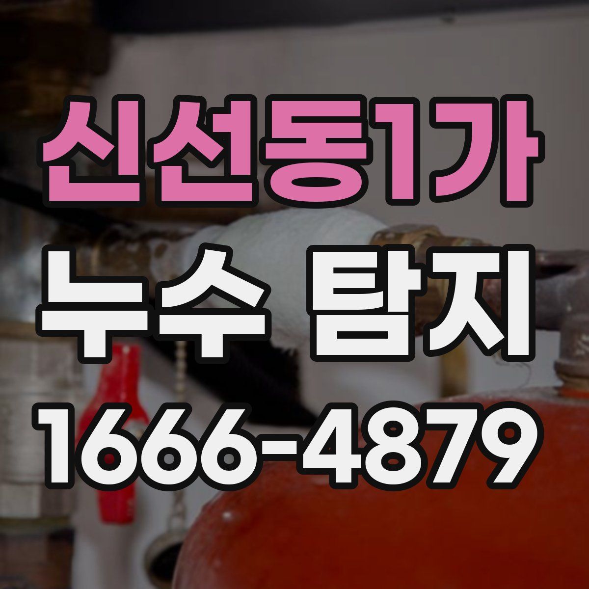 신선동1가 누수 탐지
