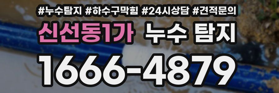 신선동1가 누수 탐지