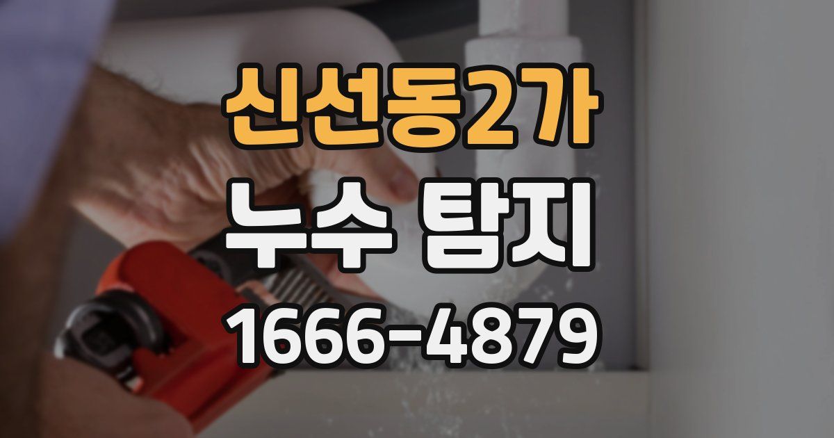 신선동2가 누수 탐지