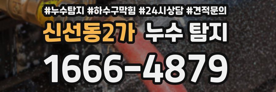 신선동2가 누수 탐지