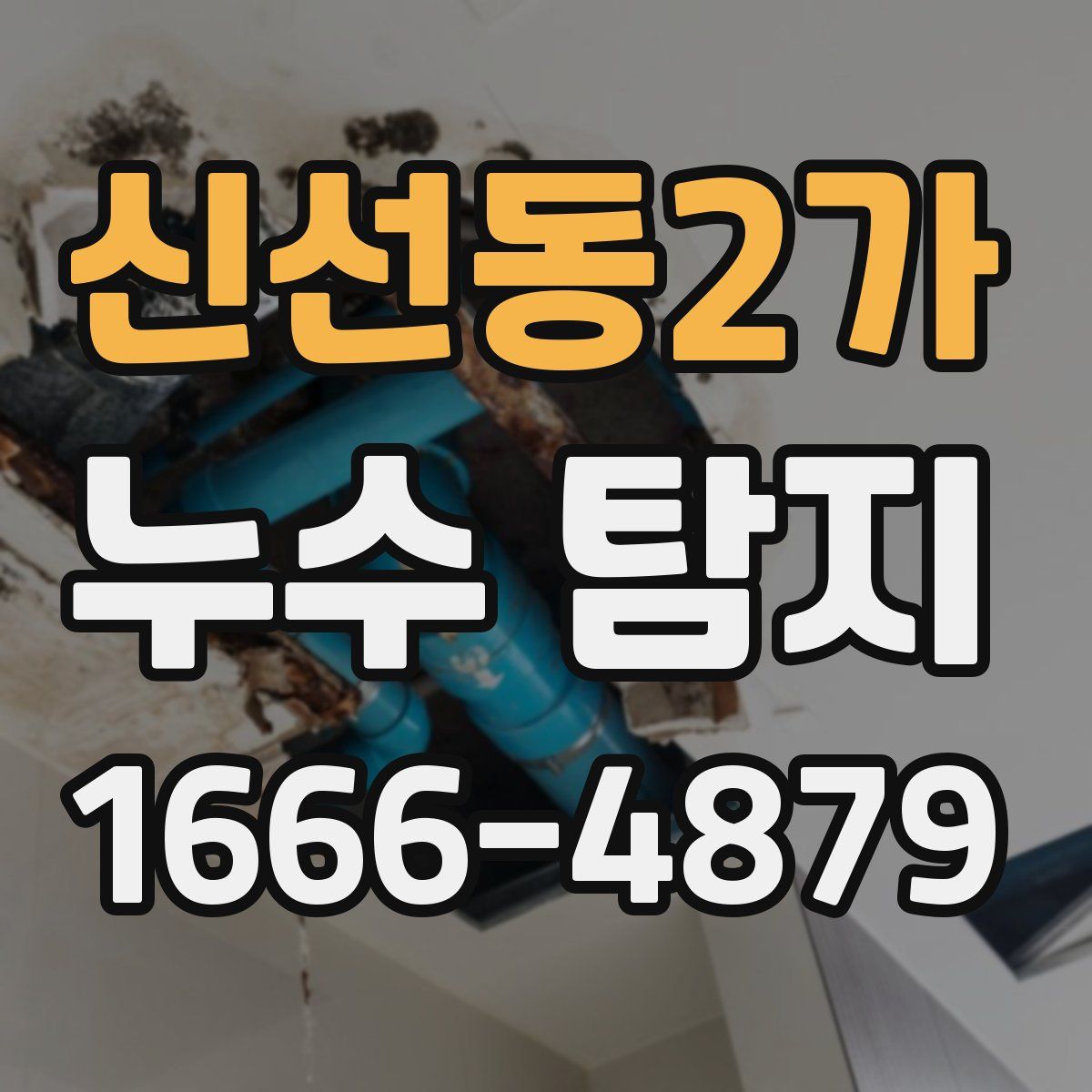 신선동2가 누수 탐지