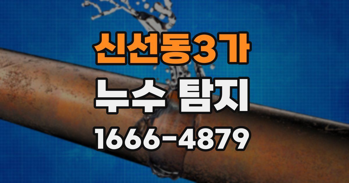 신선동3가 누수 탐지