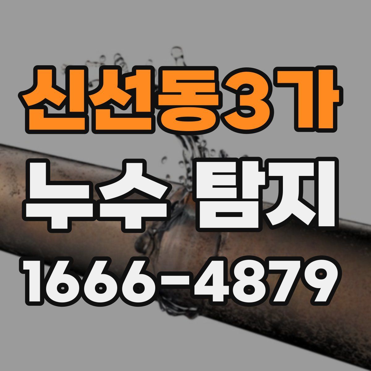 신선동3가 누수 탐지