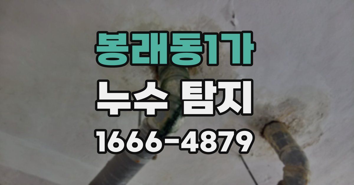 봉래동1가 누수 탐지