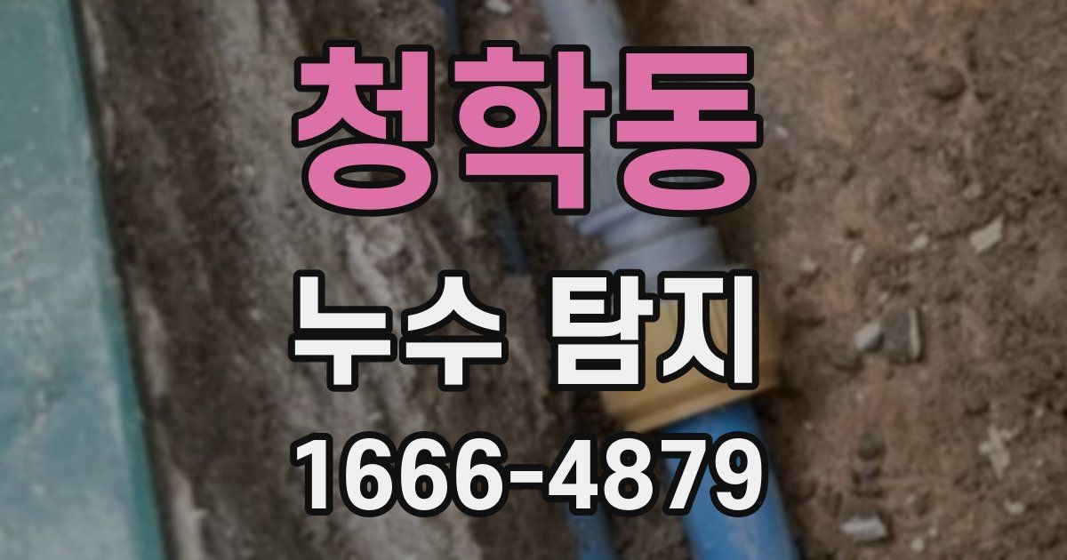 청학동 누수 탐지