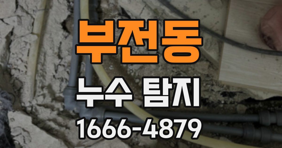 부전동 누수 탐지
