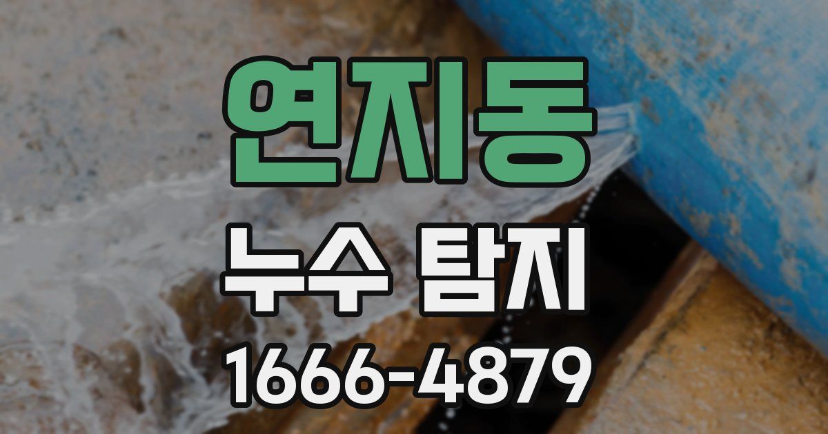 연지동 누수 탐지