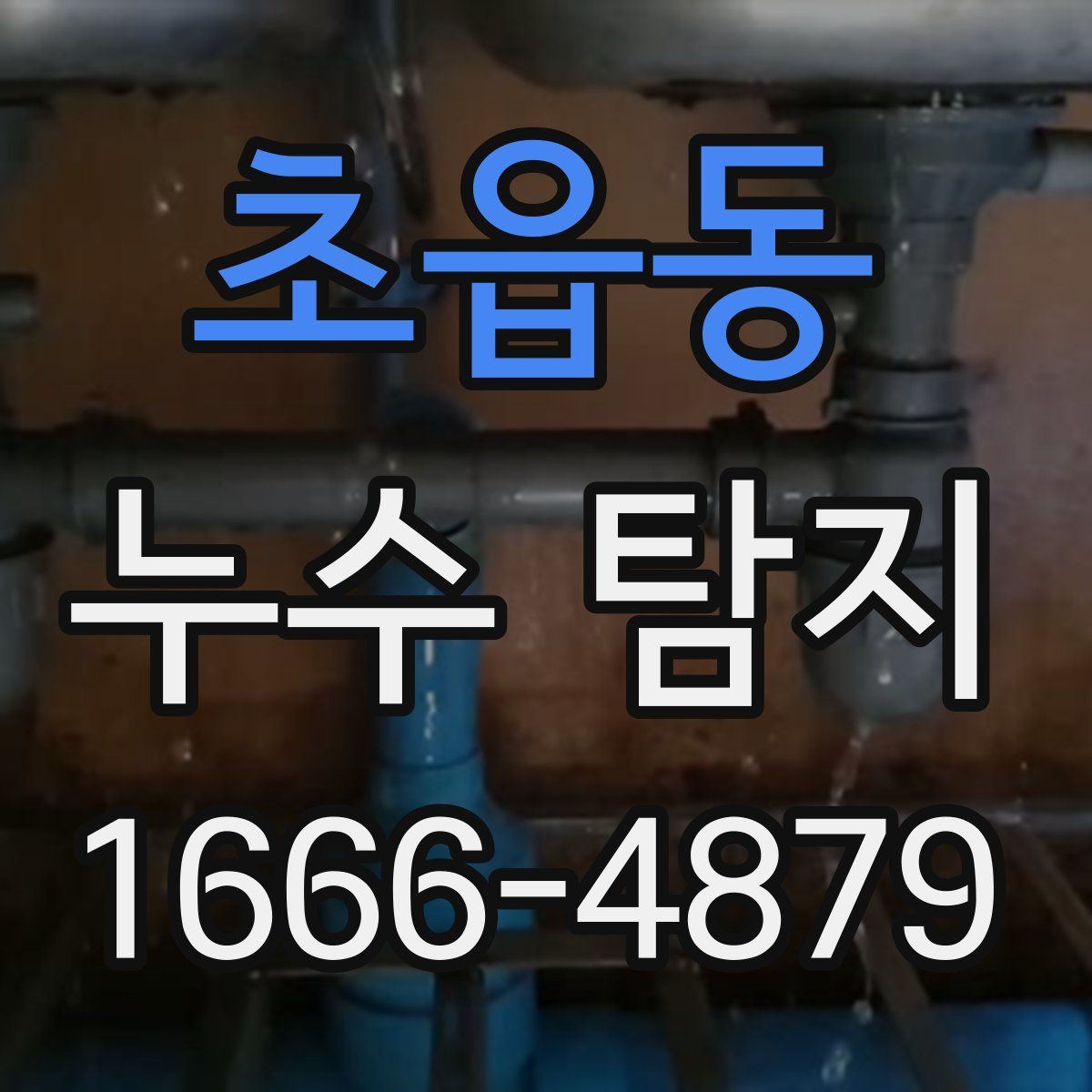 초읍동 누수 탐지