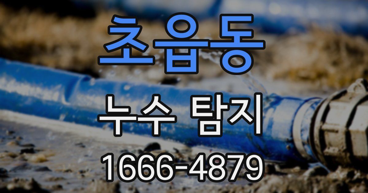 초읍동 누수 탐지