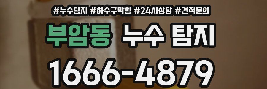 부암동 누수 탐지