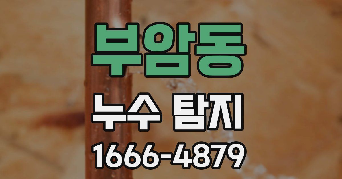 부암동 누수 탐지