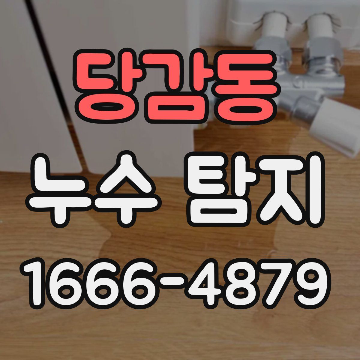 당감동 누수 탐지