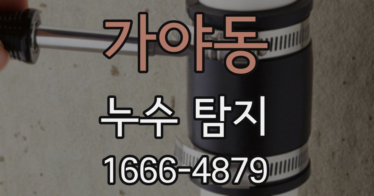 가야동 누수 탐지