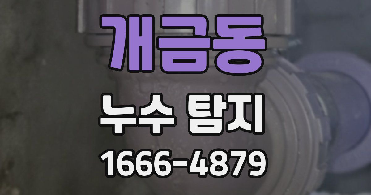 개금동 누수 탐지