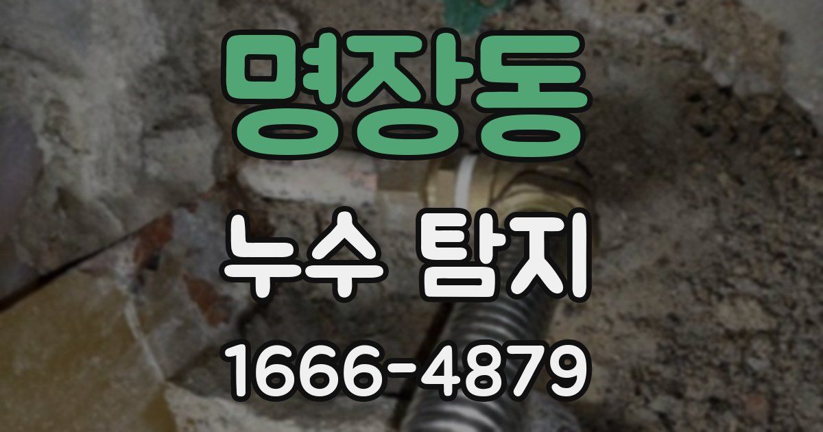 명장동 누수 탐지