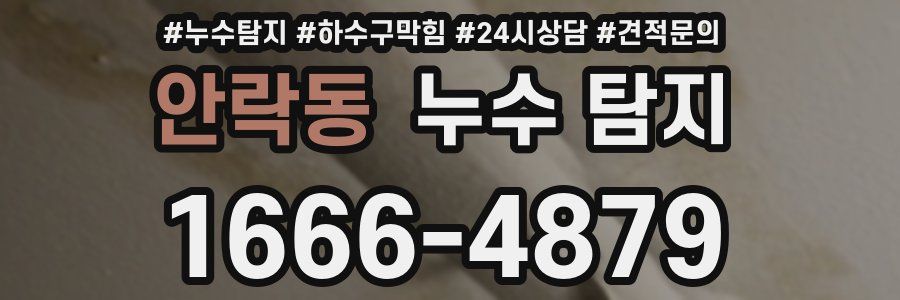 안락동 누수 탐지