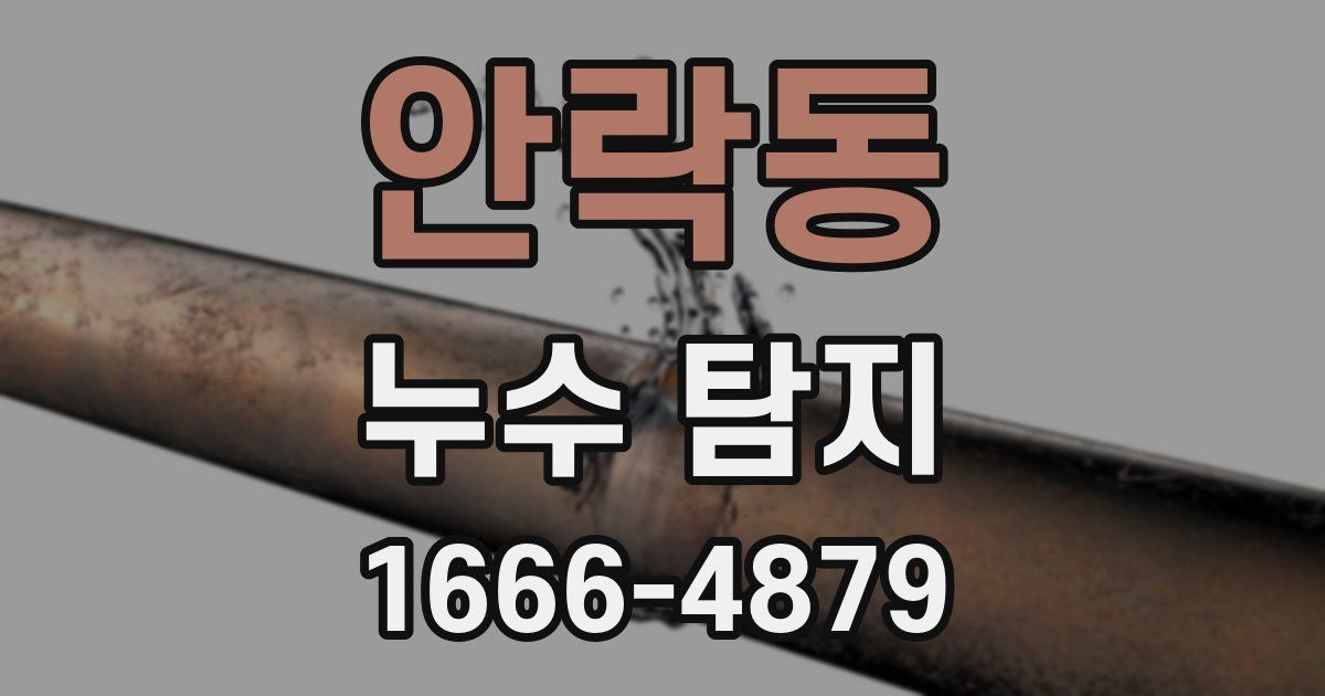 안락동 누수 탐지