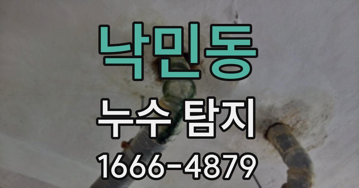 낙민동 누수 탐지