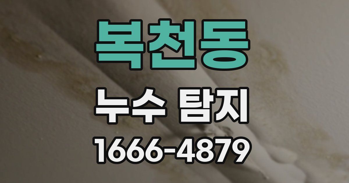 복천동 누수 탐지