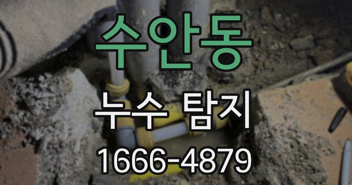 수안동 누수 탐지