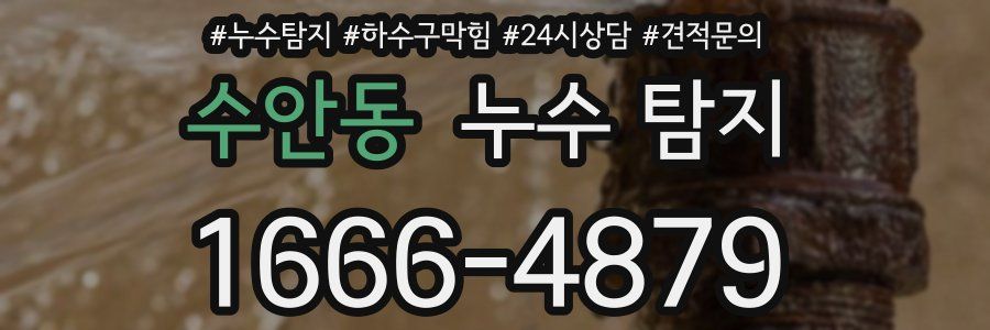 수안동 누수 탐지