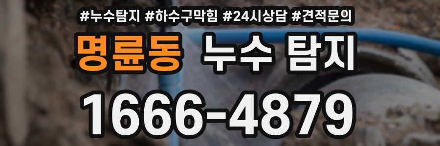 명륜동 누수 탐지
