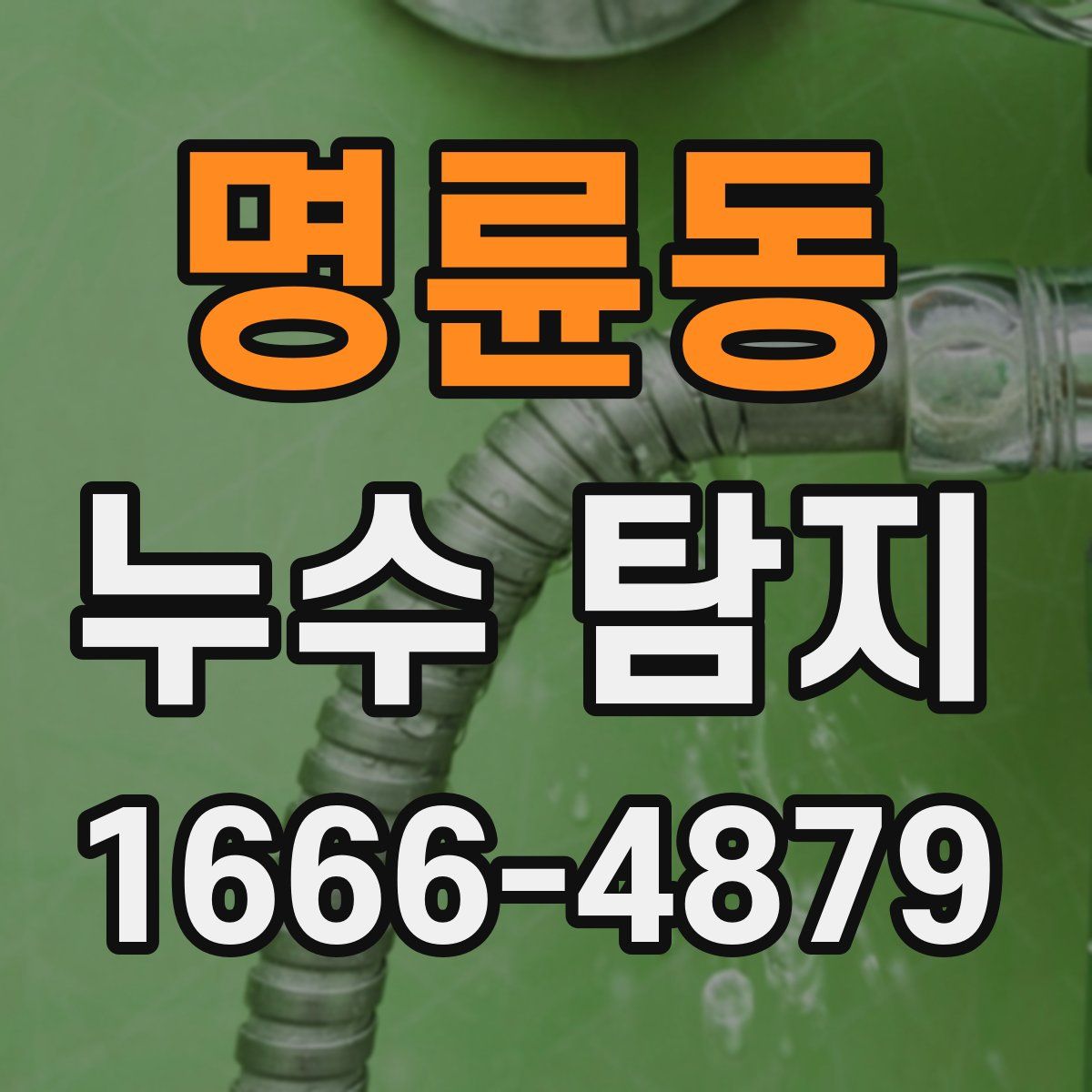 명륜동 누수 탐지