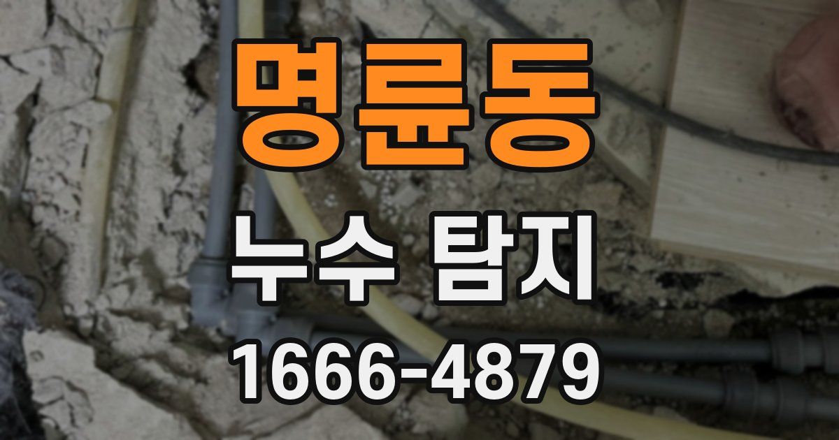 명륜동 누수 탐지